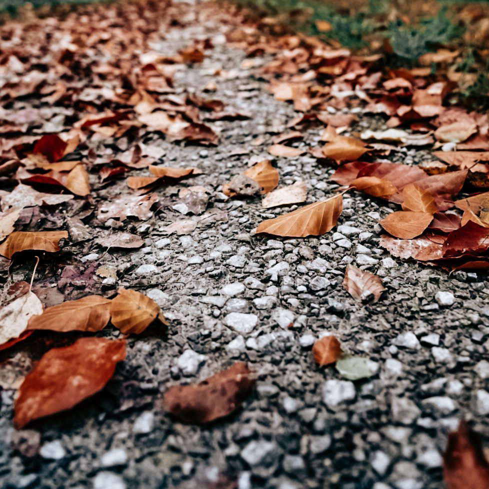Laub auf einem Schotterweg